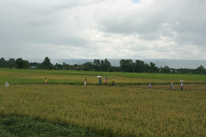 India & Nepal 2011 - 0525